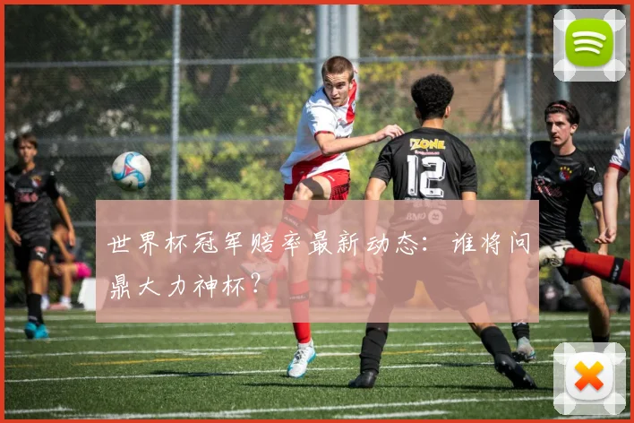 世界杯冠军赔率最新动态：谁将问鼎大力神杯？
